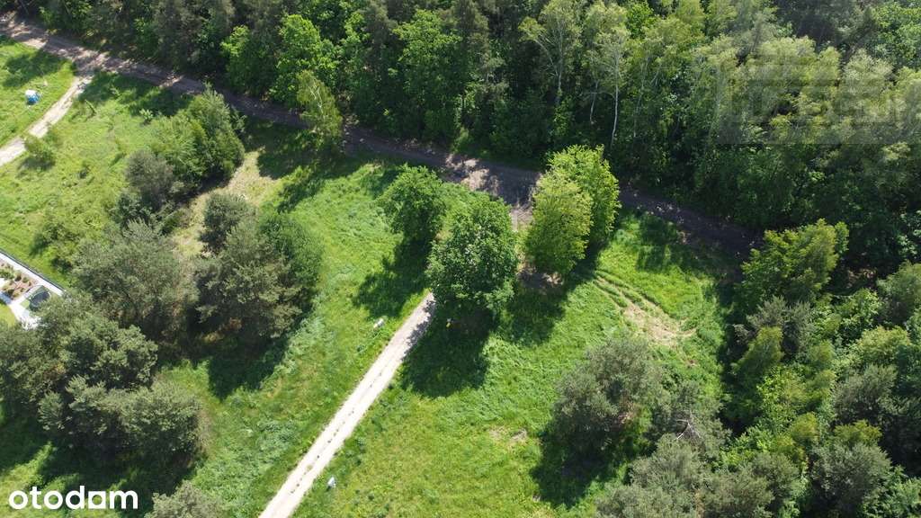 Piękne działki w Ruścu przy lesie - Pełny obrazek: 4/6