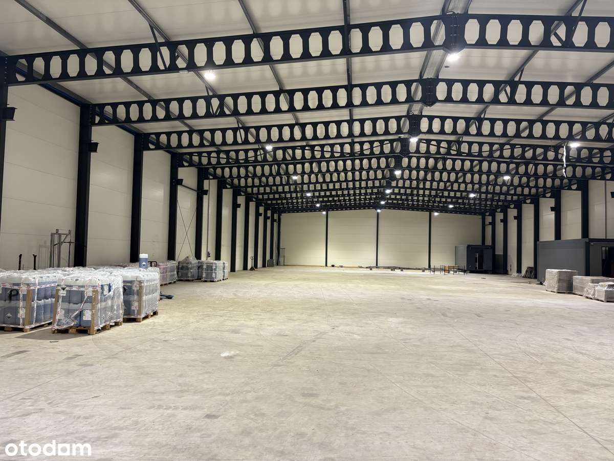 HALA MAGAZYNOWA - Pełny obrazek: 5/7