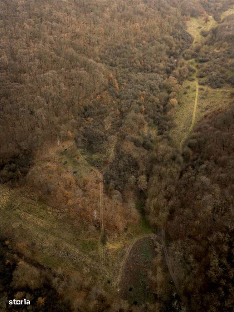 RECO . Teren extravilan . Saldabagiu de munte . - Imagine principală: 5/6