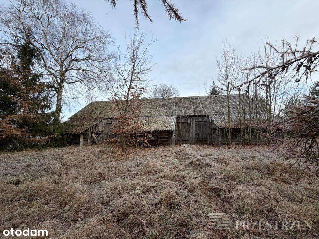 Działki 15 minut od Sokółki - Pełny obrazek: 5/20