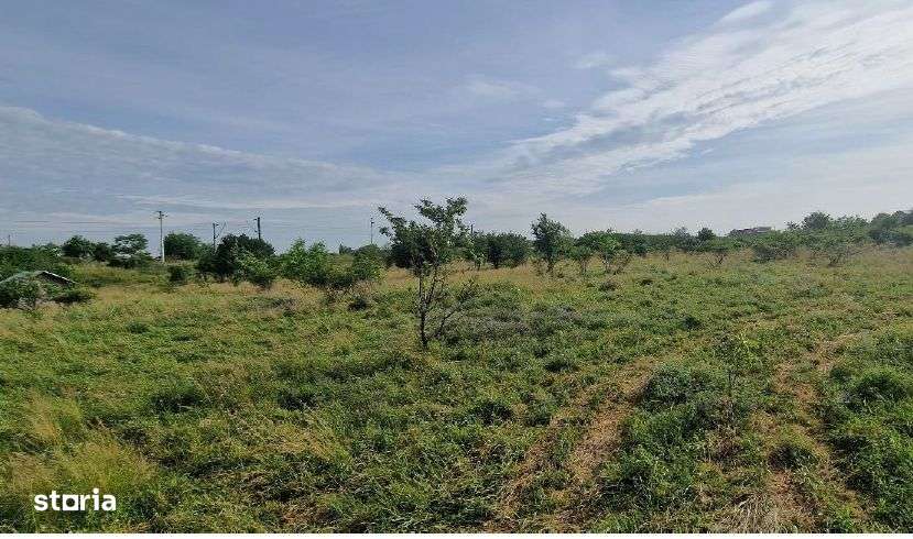 cota 1/2 din teren 600 mp Domnesti, jud Ilfov-id R.09 - Imagine principală: 2/3