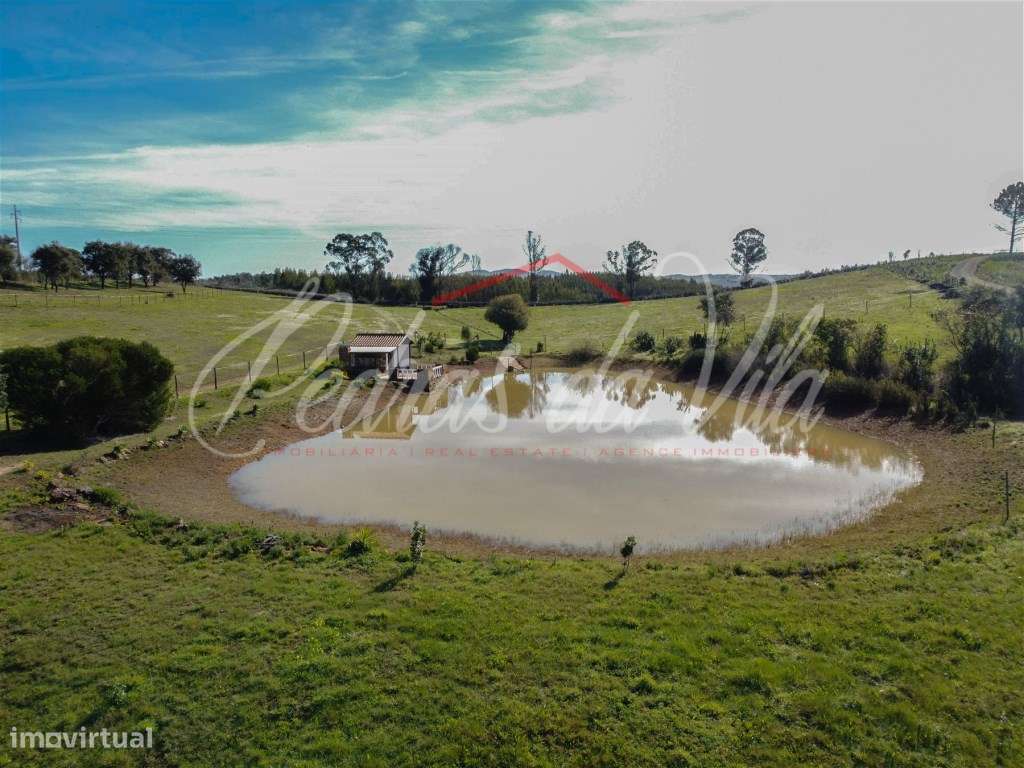 Quinta com 6,5ha em Vale Juncal - São Teotónio-40