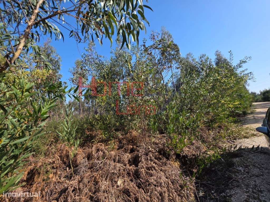 Terreno na zona industrial de Albergaria-a-Velha-11