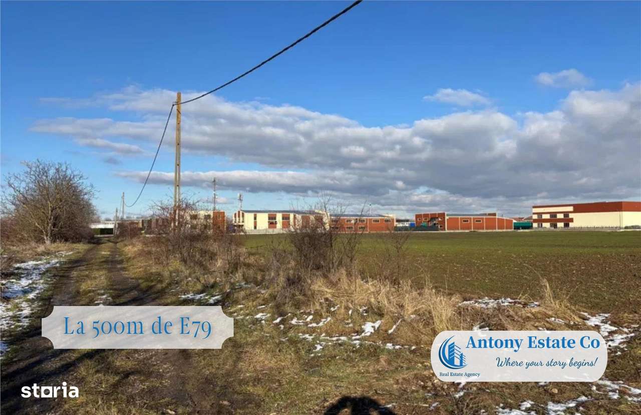 Teren Intravilan de vanzare- Bors - Imagine principală: 3/6