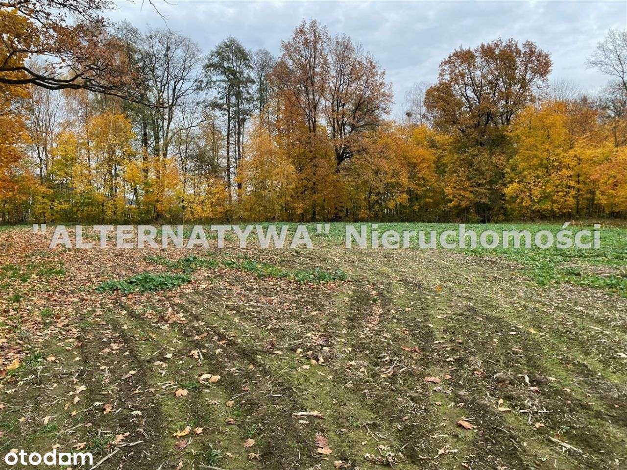 Działka Mieszkaniowo Usługowa-4