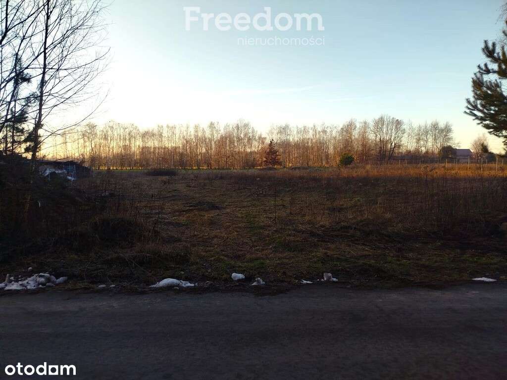 Działki w leśnym zakątku - uzbrojone - Pełny obrazek: 5/13