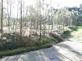 Terreno Rústico com 3051m2 Quintiães - Barcelos - Grande imagem: 3/8