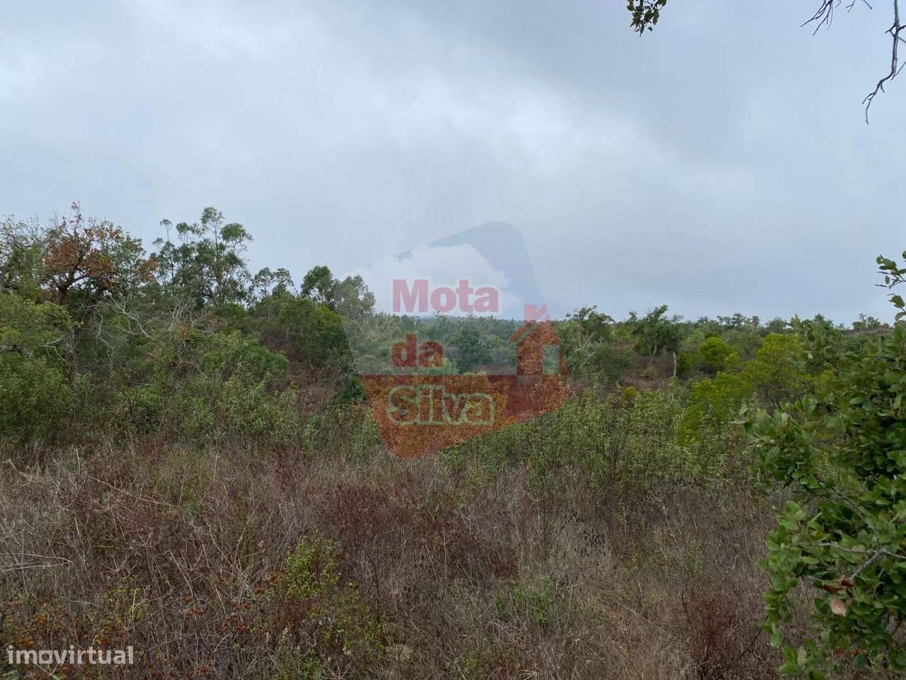 Terreno de 13.5ha em Santa Margarida da Serra - Grande imagem: 4/15