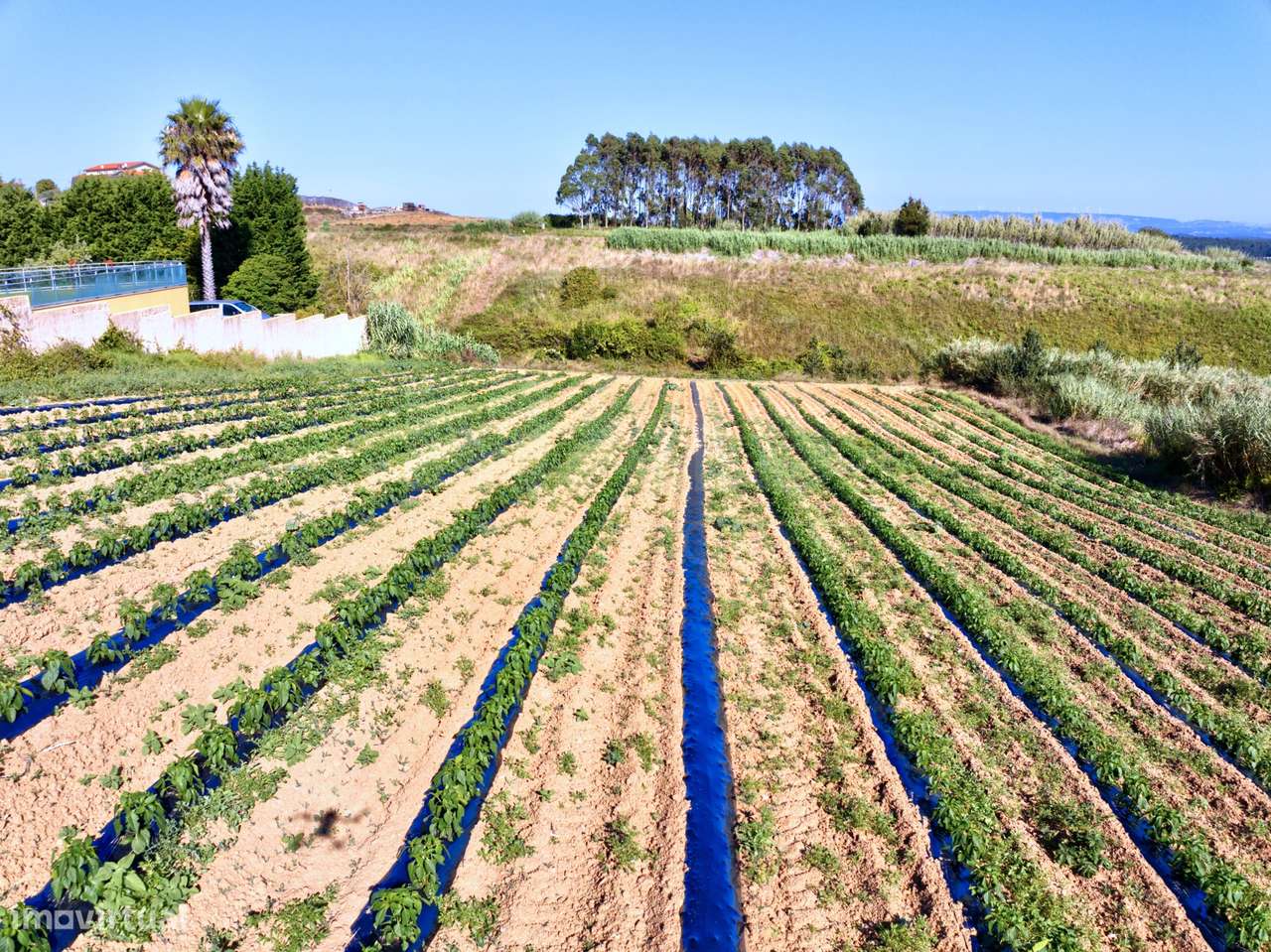 Terreno com Viabilidade de Construção - Grande imagem: 5/8