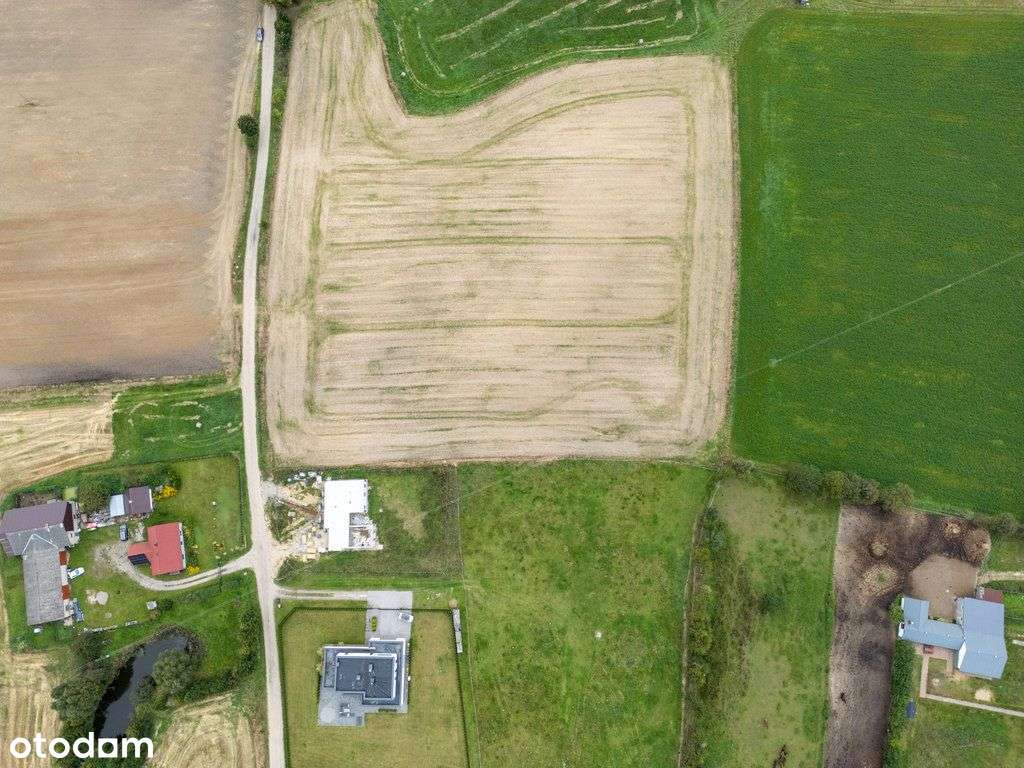 Działka z Mpzp blisko lasu - Pełny obrazek: 5/5