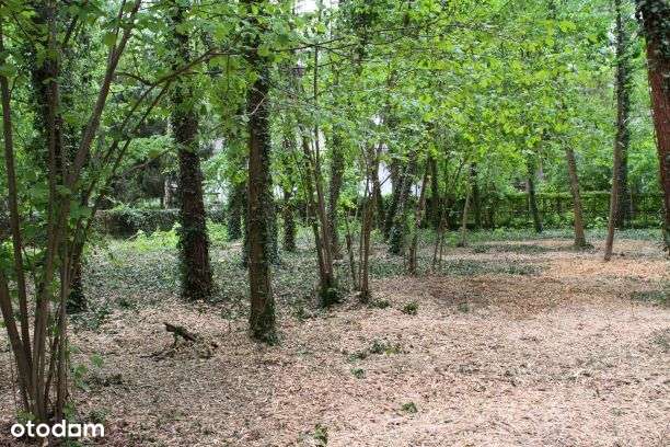 Idealna działka pod rezydencję / dom - Pełny obrazek: 5/19