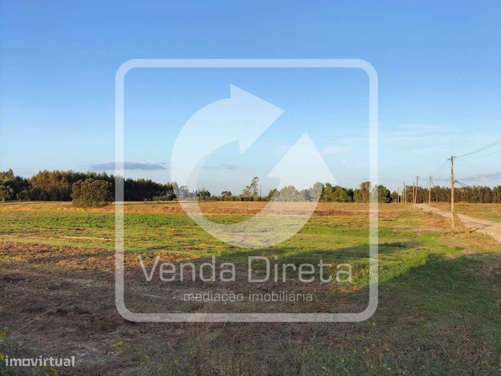 Terreno com 110.000 m2 junto à Nacional 10 - Com Armazém, Furo Lice...-11