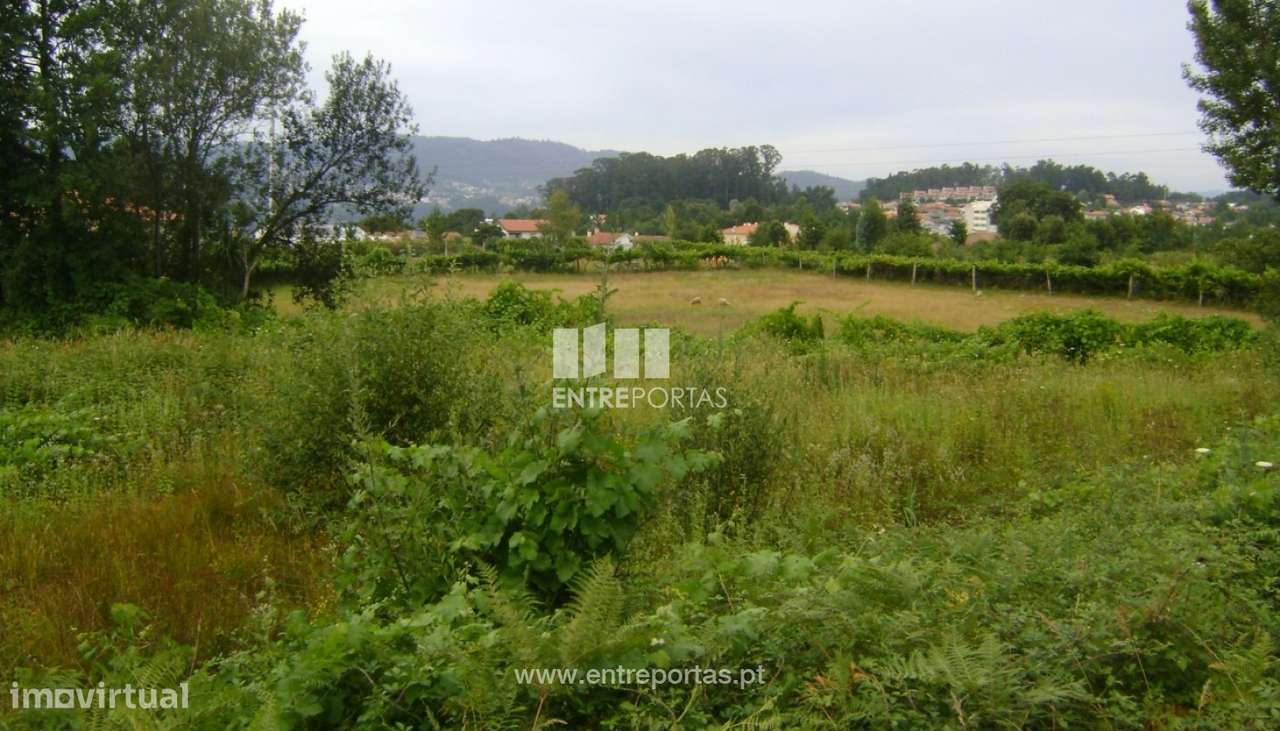 Venda Terreno, Ariz, Marco de Canaveses - Grande imagem: 4/5