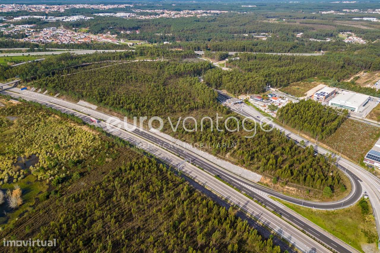 TERRENO PARA INDÚSTRIA- BAROSA - LEIRIA - Grande imagem: 3/14