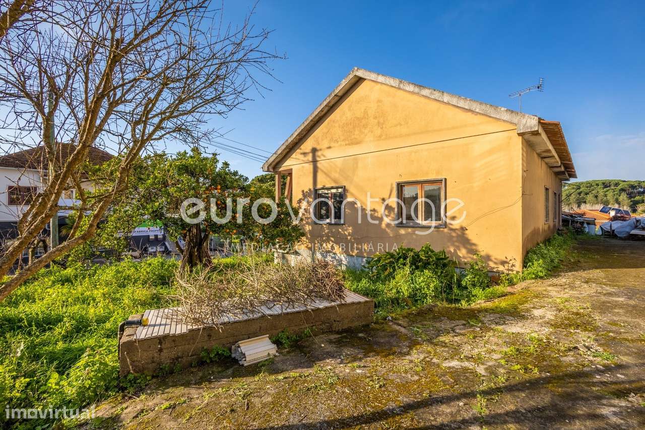 Moradia T3 para Restauro em Pernelhas, Leiria - Grande imagem: 5/33