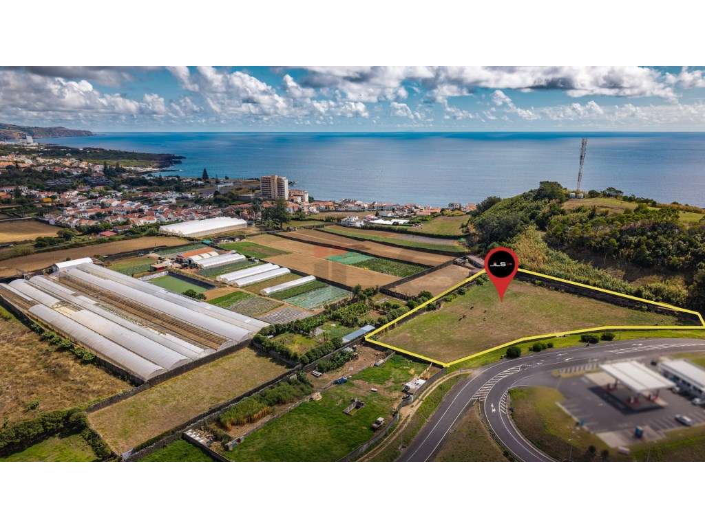 Terreno situado na freguesia de Rosto do Cão - São Roque - Grande imagem: 5/18