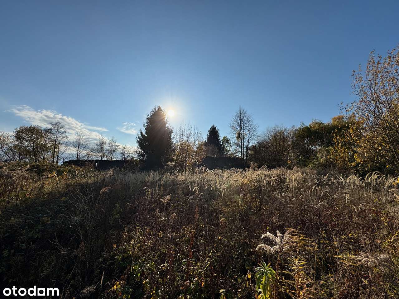 Działka przy głównej drodze Pieszyce Dolne-11