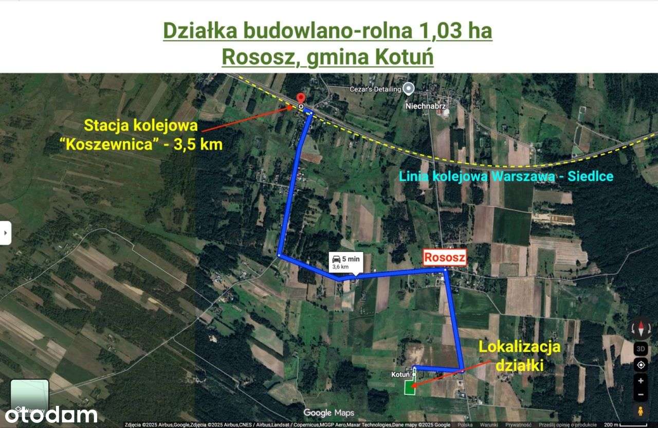 Działka budowlano-rolna 10300 m²,Rososz, gm. Kotuń-8