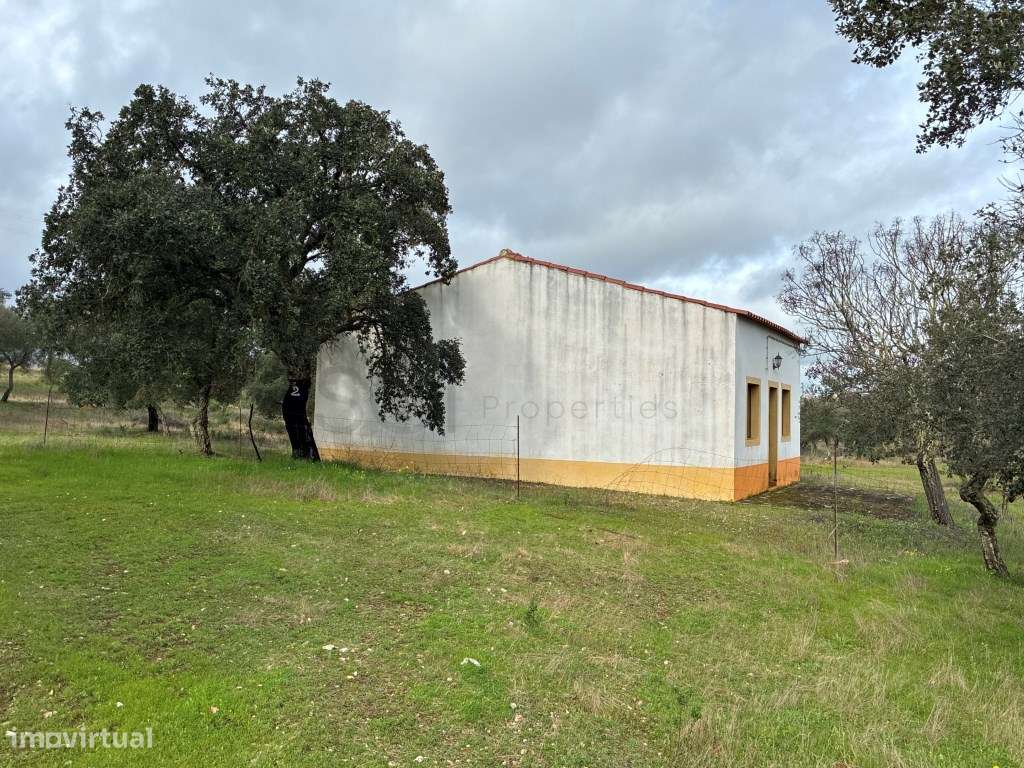 Quinta T2 em Serpa | Vista para a barragem-27