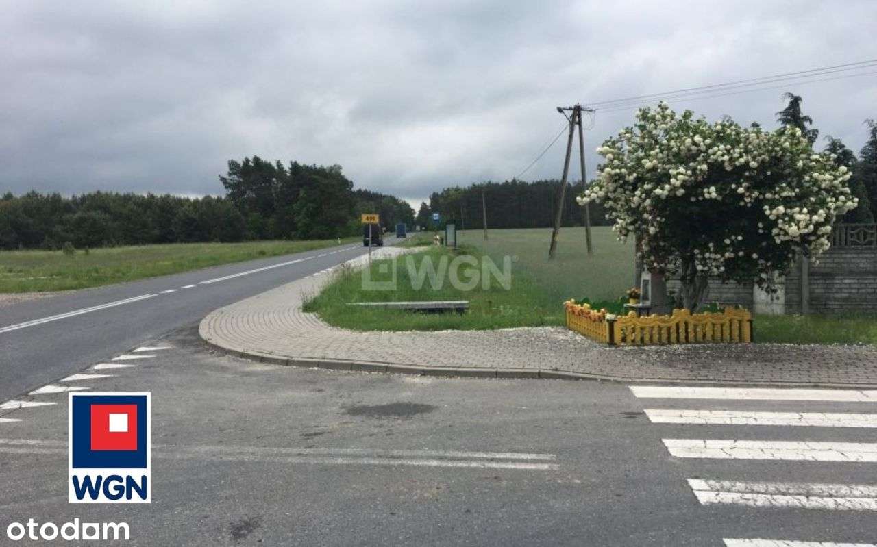 Działka, 12 000 m², Zalesiaki-Pieńki - Pełny obrazek: 3/9