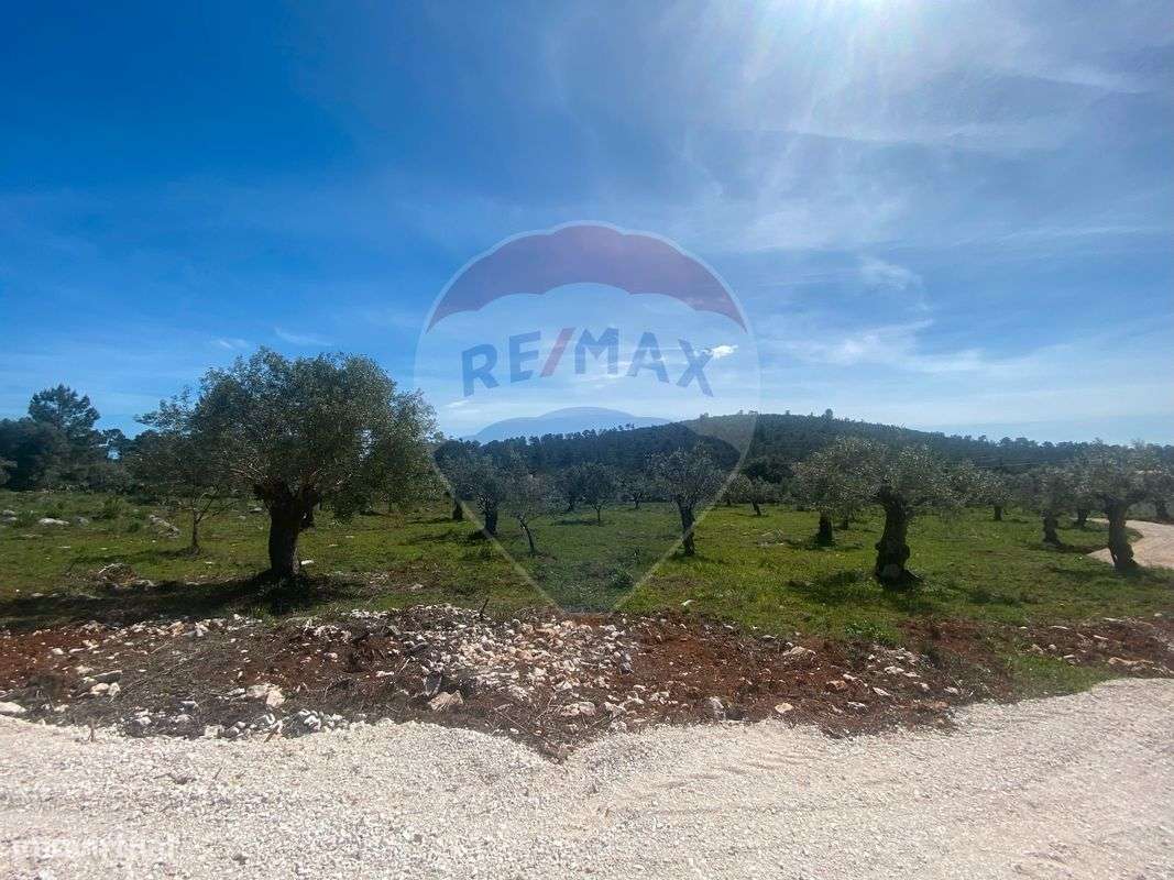 Terreno  para venda - Grande imagem: 4/9