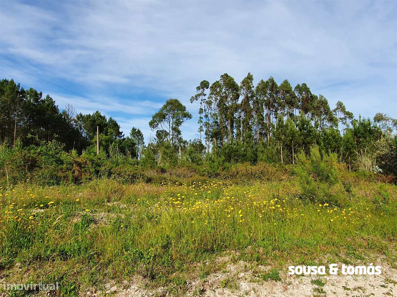 Terreno  Venda em Amor,Leiria-7