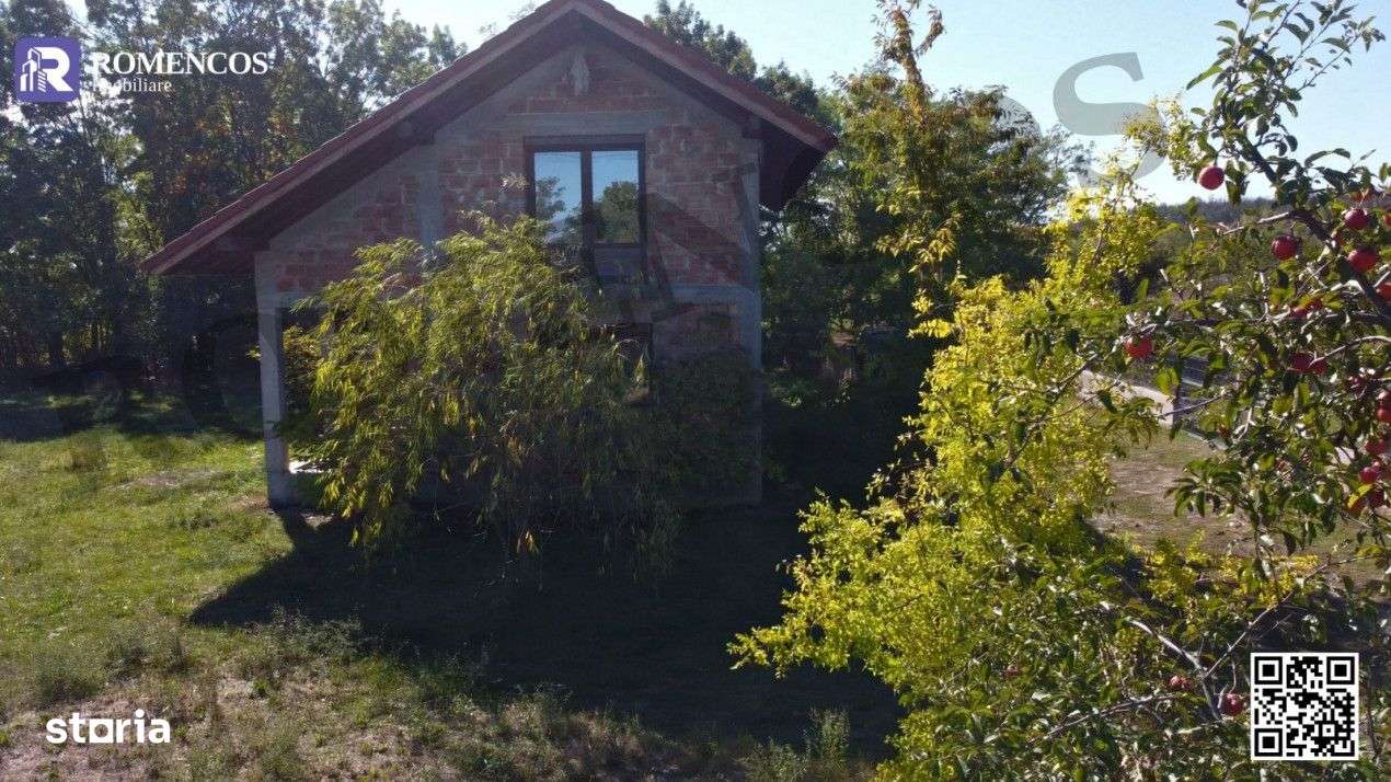 Casa la rosu din Lunca Corbului. Se bate lumea pe ea… in sensul bun!-6