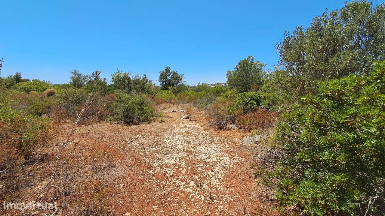 Terreno com 9.135 m² em Boliqueime-15
