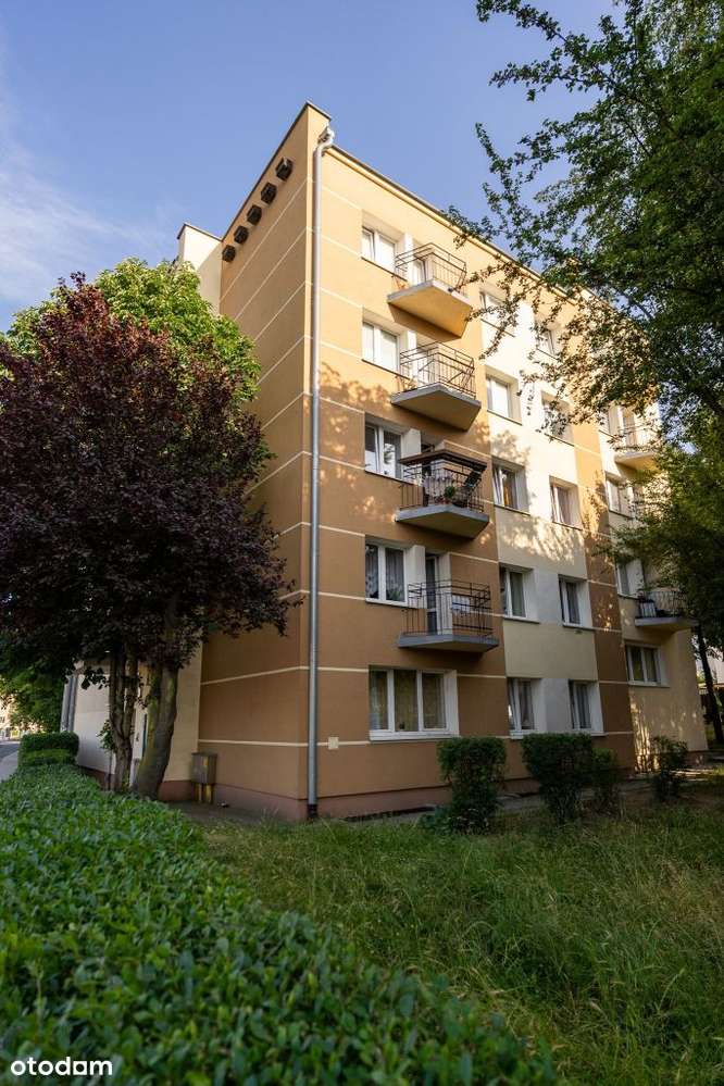 Zamieszkaj na Jeżycach – miejski rytm blisko ziele-16