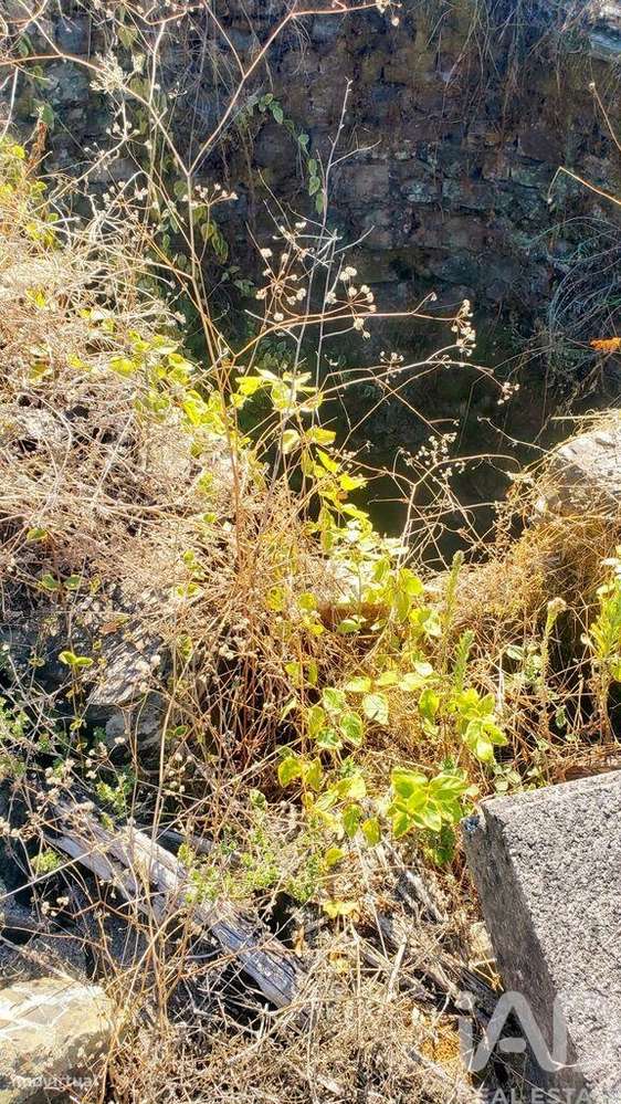 Moradia isolada T4 em Cardigos de 158,85 m2-23