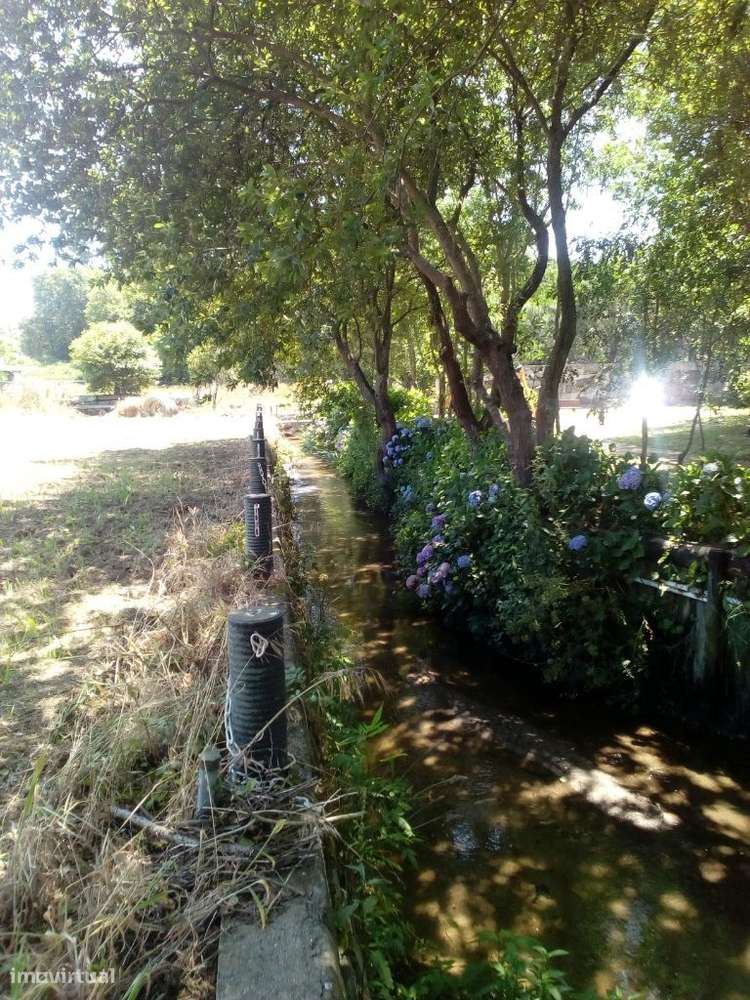 Terreno Misto com 7.350m2 - Grande imagem: 4/16