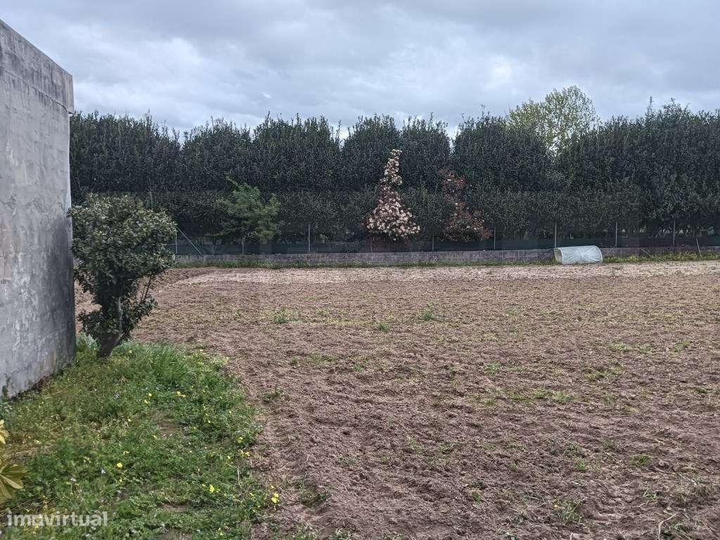 Fantástico terreno com 43m de frente -Ílhavo - Grande imagem: 4/9