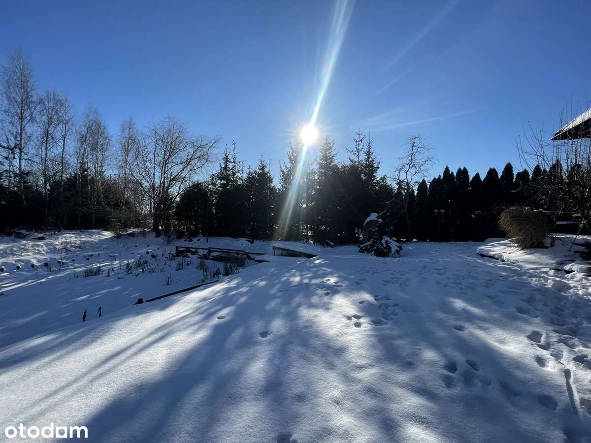 Jabłówko - atrakcyjna posesja na sprzedaż-15