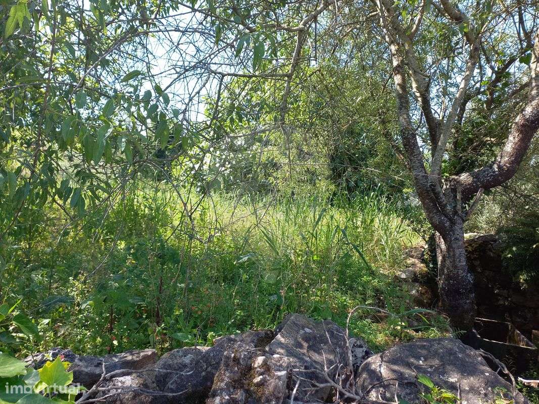 Terreno  para venda - Grande imagem: 3/3