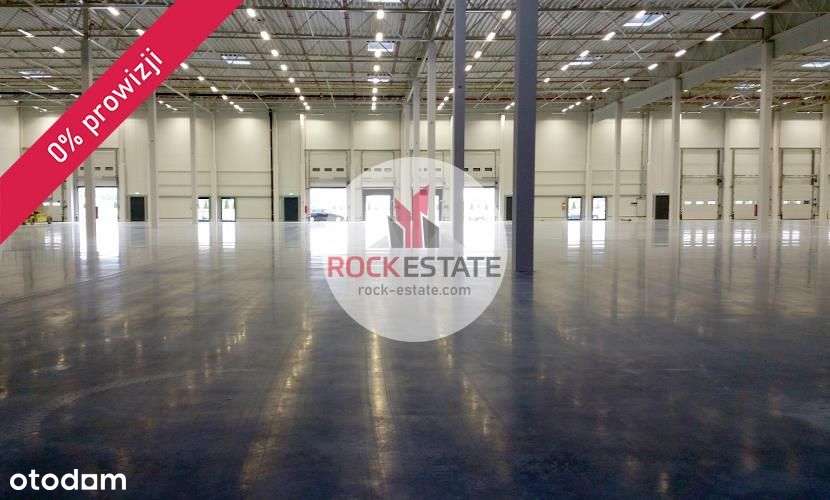 Magazyn na wynajem 7200 m2 Wrocław /Lotnisko k. A8 - Pełny obrazek: 5/8