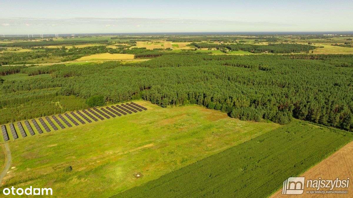 Charzyno- Działka Na Sprzedaż - Pełny obrazek: 2/10