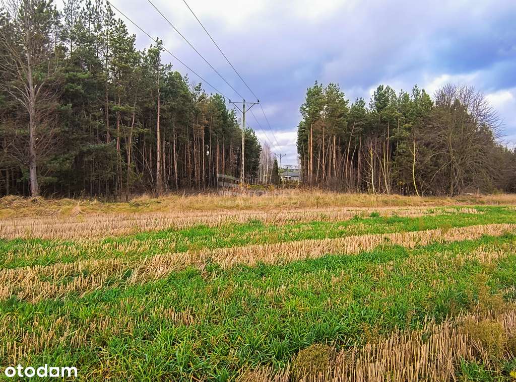 Wyjątkowe działki nad zalewem w Janowie Podlaskim - Pełny obrazek: 4/6
