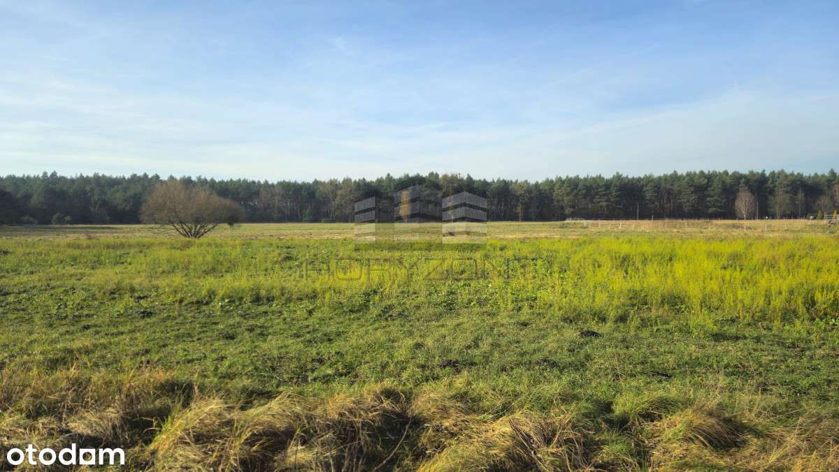 Zamość - 9534m2, WZ na 9domów-doskonała inwestycja - Pełny obrazek: 2/10