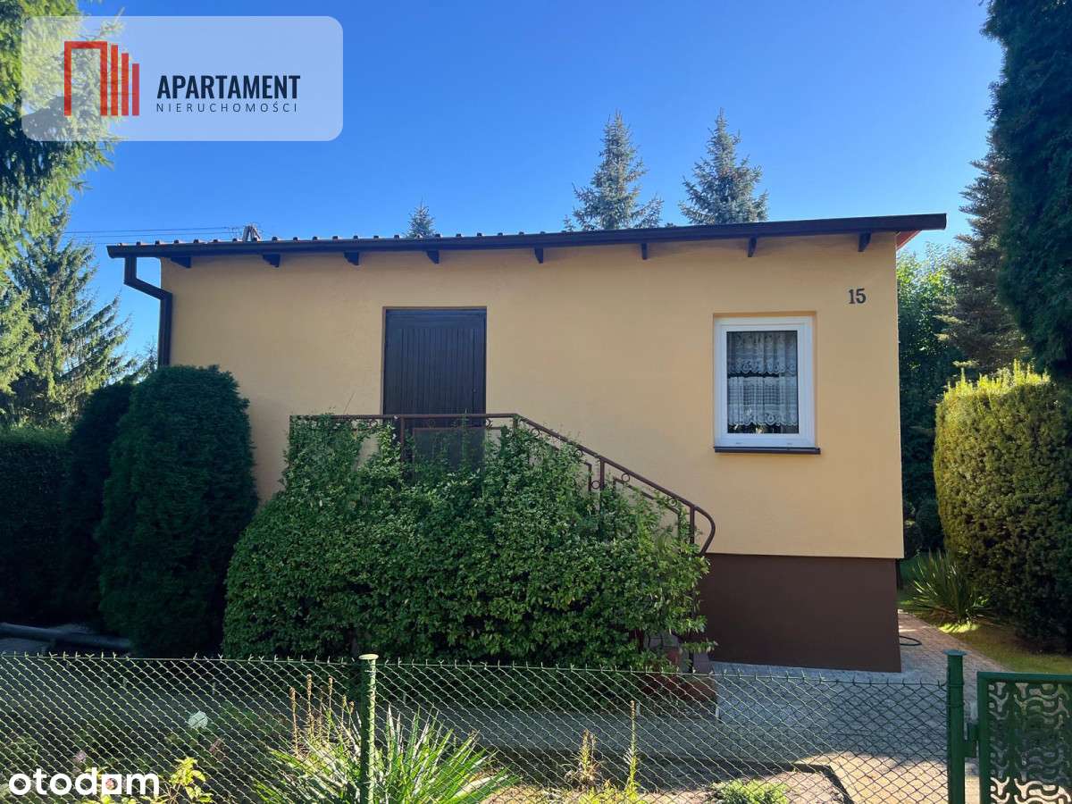 Ładna działka rekreacyjna w Drzewcach - Pełny obrazek: 4/11