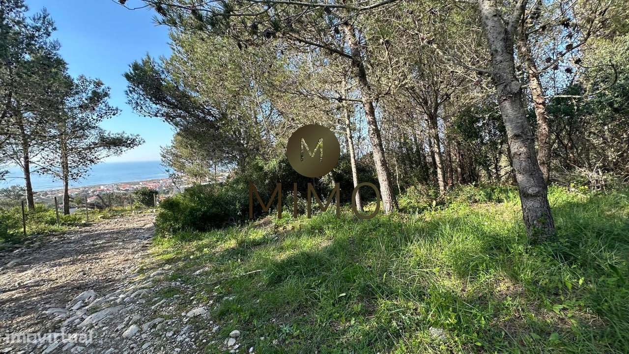 Terreno Para Venda na Murtinheira-20