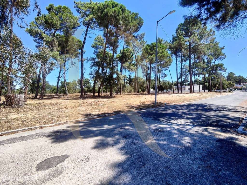 Venda conjunta de 105 lotes de terreno na Urbanização Pinhal de Neg...-7