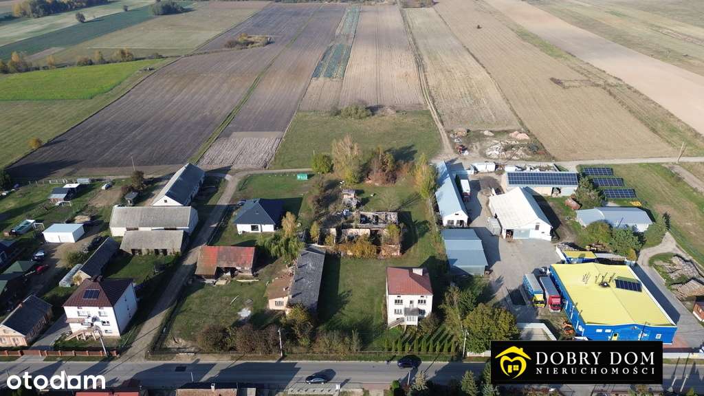 /ODS - Pełny obrazek: 4/7