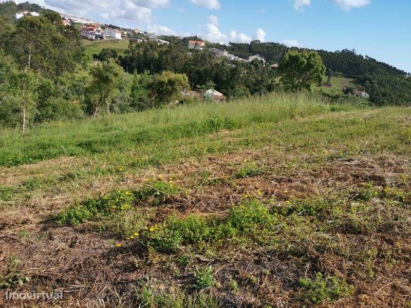 Terreno Pedra Amassada Santo Isidoro Mafra - Grande imagem: 5/8