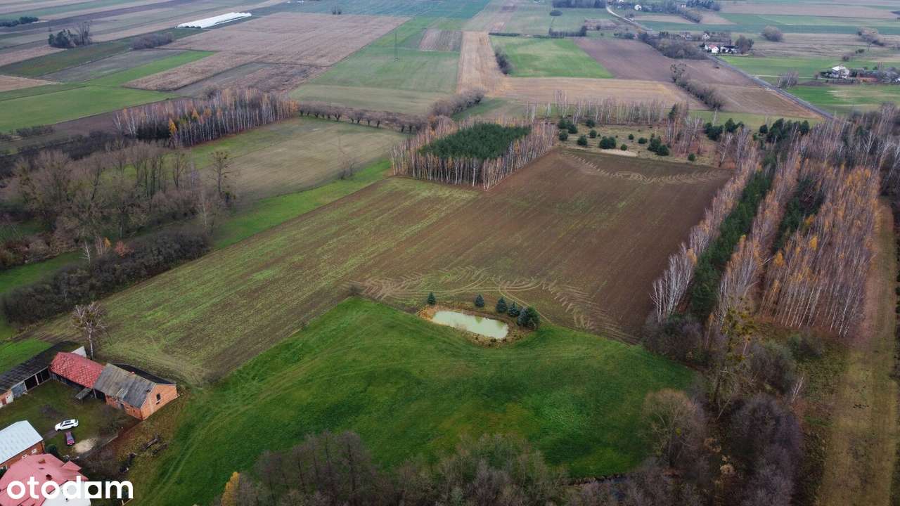 Nieruchomość pod agroturystykę/stadninę/hodowlę zwierząt/mini zoo-2