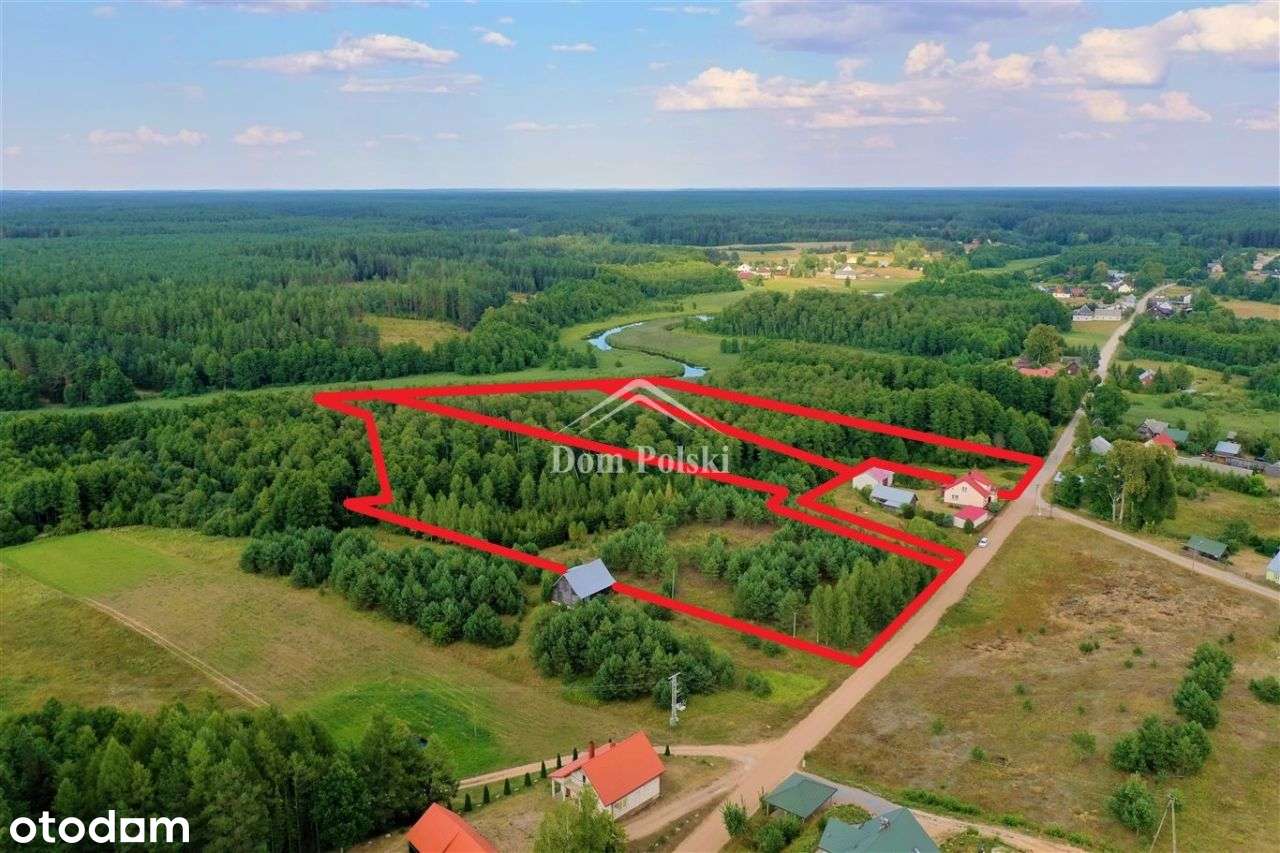 Działka 0,97 ha w Puszczy Augustowskiej - Zelwa - Pełny obrazek: 5/13