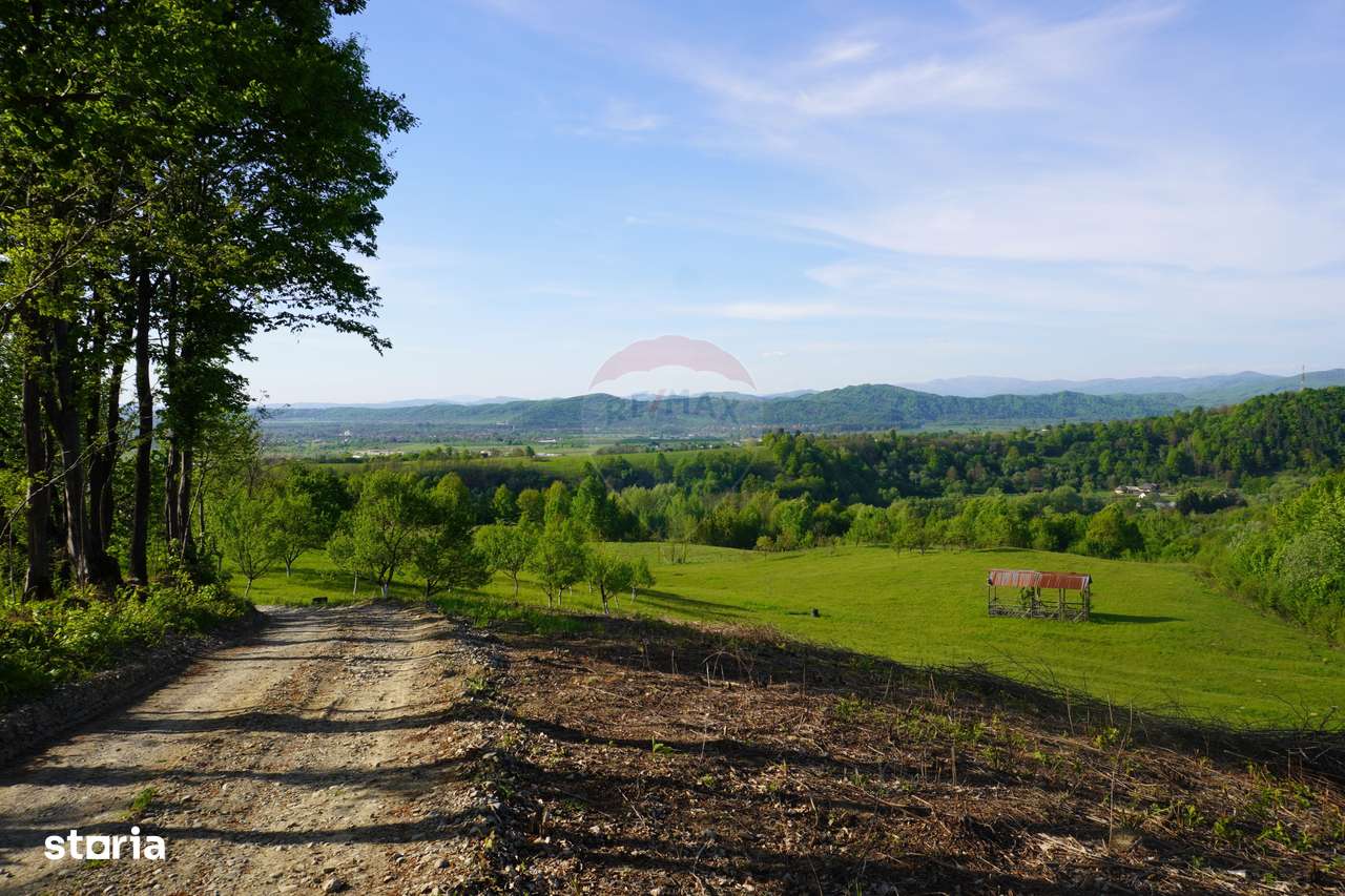 Teren 15,000mp Sighetu Marmatiei / Strada Mocăniței - Imagine principală: 4/13