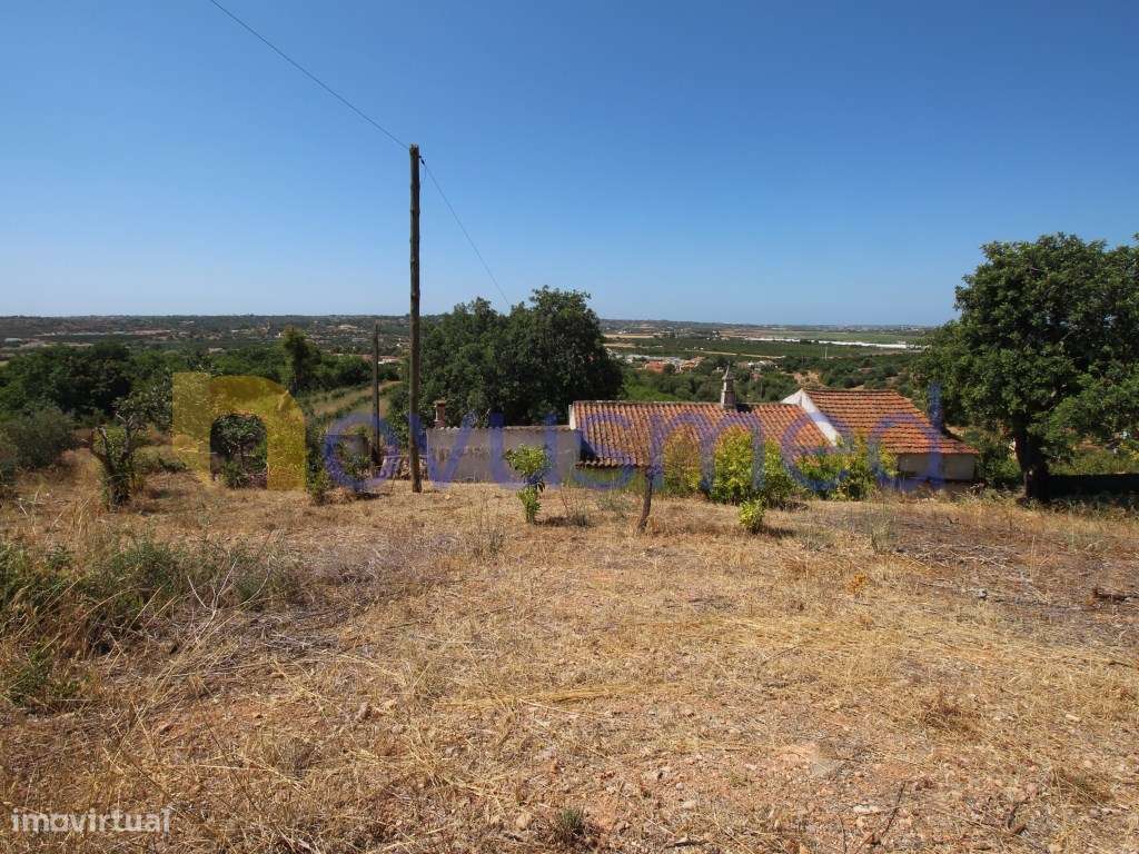 Casa com Projeto Aprovado para Moradia T3 com Piscina | Poço Barret...-38