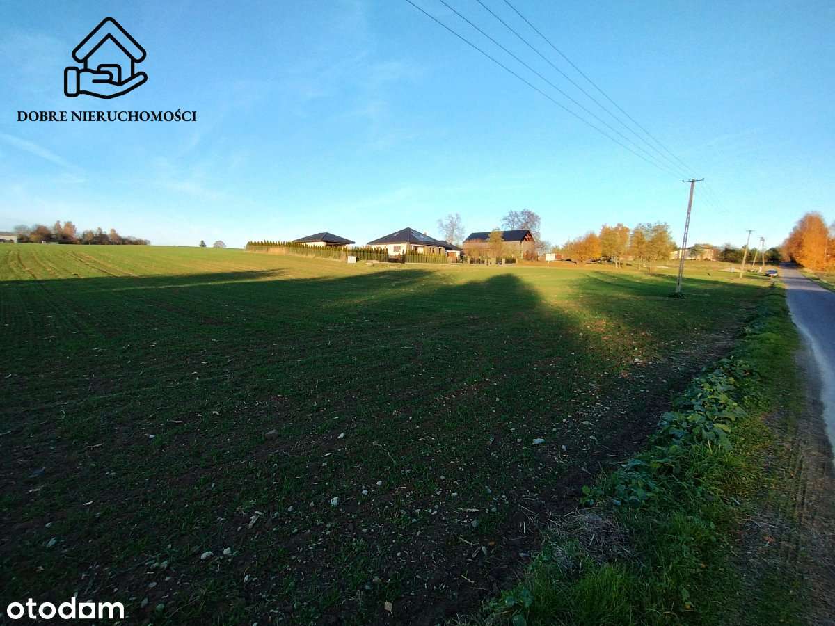 Panieńszczyzna - działka budowlana 18 arów - Pełny obrazek: 4/7