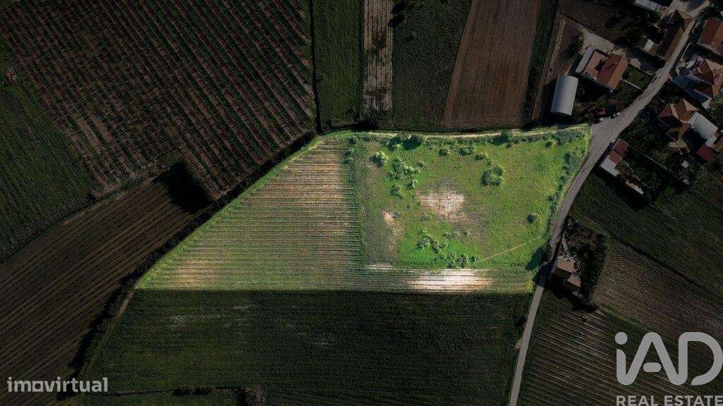 Terreno em Freiria de 15080,00 m2 - Grande imagem: 3/22