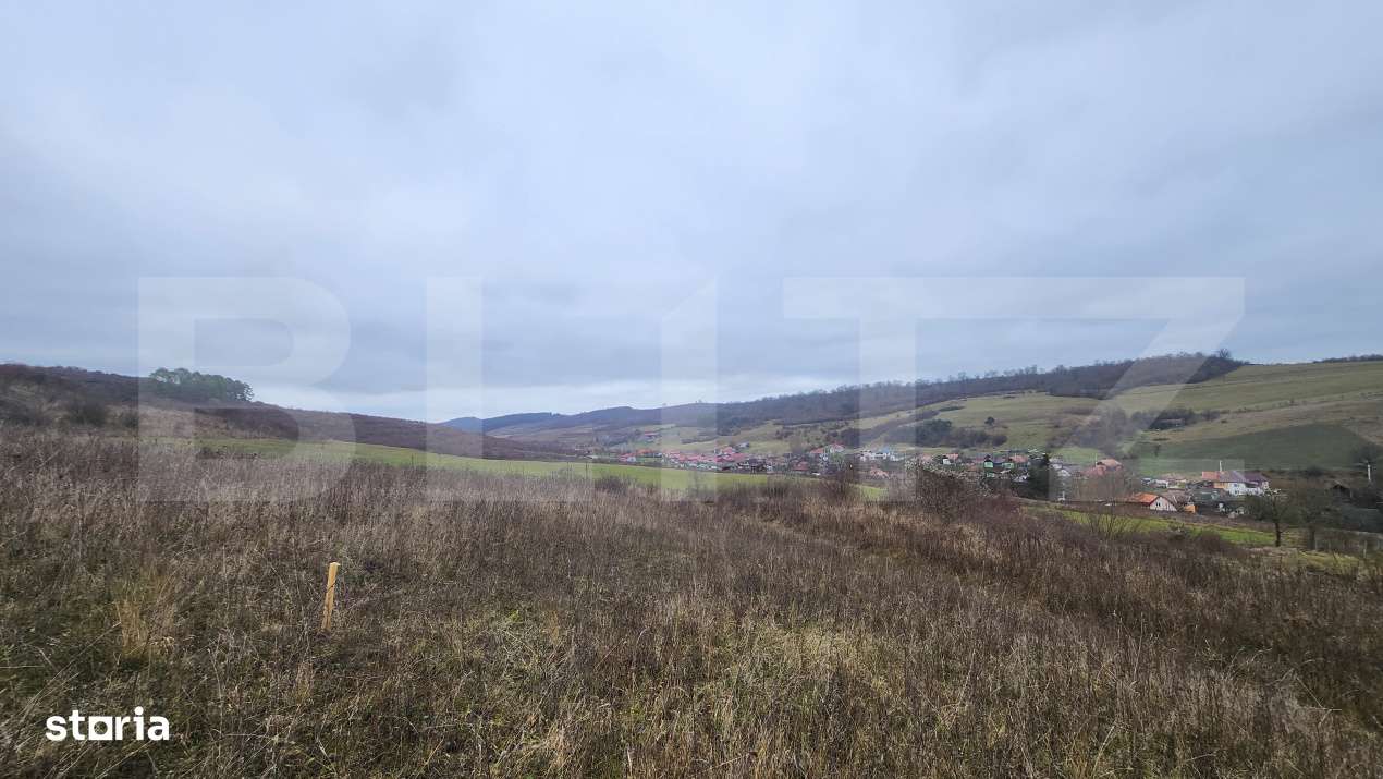 Teren intravilan 4774 mp  de vanzare in Livezeni - Imagine principală: 3/8